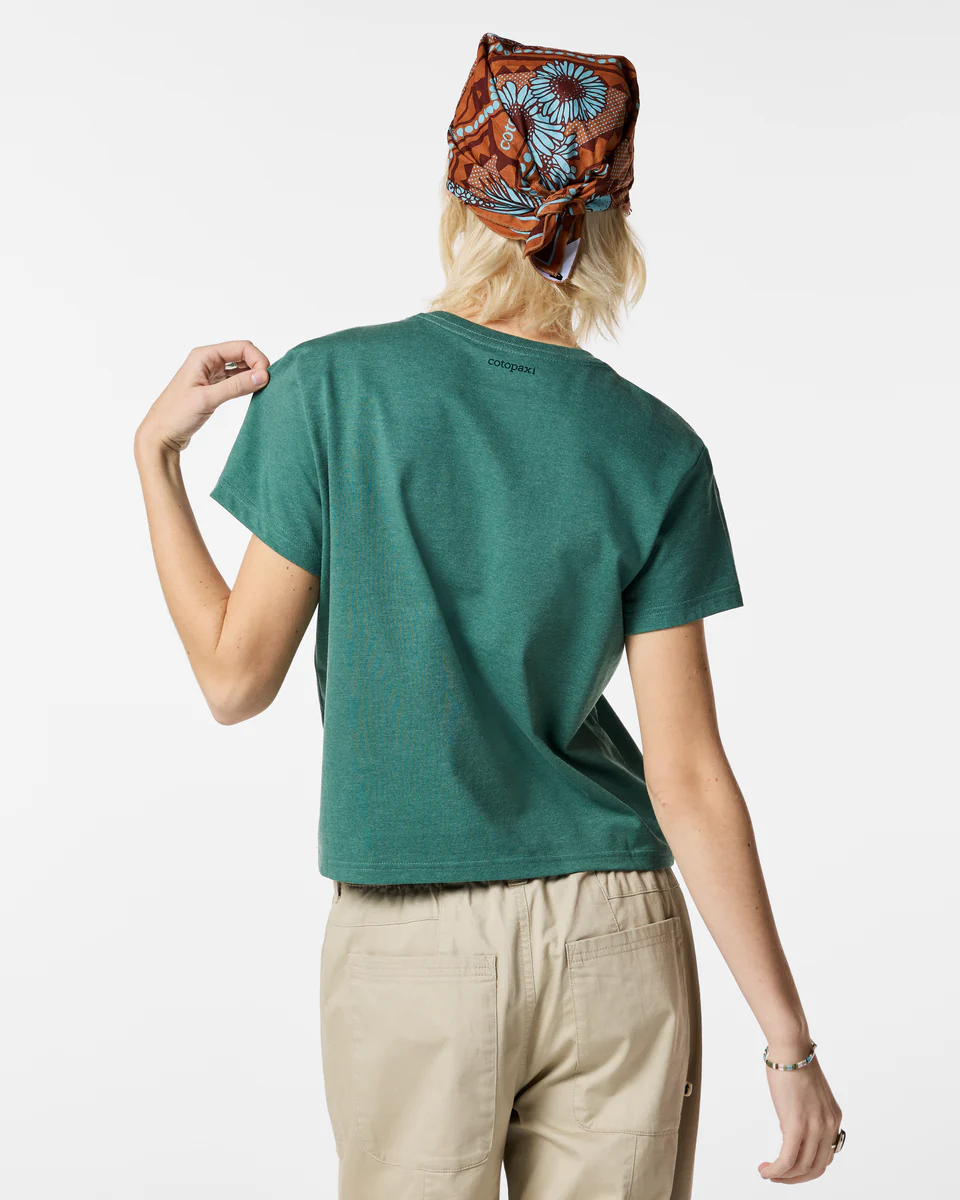 Llama Icon T-Shirt - Women's - Image 13