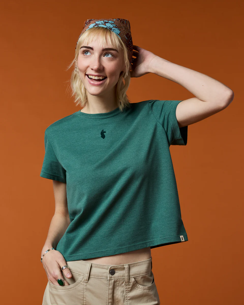 Llama Icon T-Shirt - Women's - Image 17